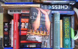 Lot 30 - Box lot of Assorted Chess Books incl Kasparov & Deep Blue, Chess St