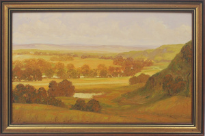 Lot 178 - Almar Zaadstra (1960 - ) Framed Oil Painting - Australian Landscape -
