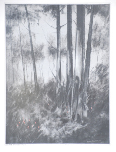 Lot 179 - Wim Kortland (1923 - ) Framed Charcoal & Pastel - In The Dandenong