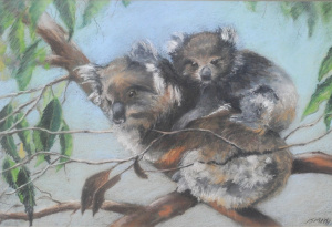 Lot 101 - Artist Unknown - Framed Pastel - Koala's in Gum Tree - signed I Smith,