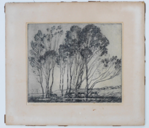 Herbert Reginald Gallop (1890 - 1958) Mounted Etching - Pittwater Trees - Signed