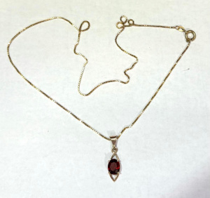 9ct ygold chain & 9ct pendant set with garnet - TW 3 1 grms approx