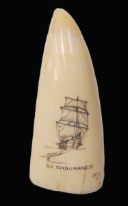 Vintage James Cumberland Brown Scrimshaw Whales tooth featuring the SS Enduranc